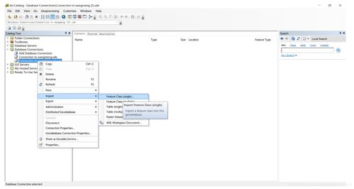 在ArcMap中發(fā)布要素圖層服務(wù)及將SQL Server數(shù)據(jù)庫(kù)升級(jí)為地理數(shù)據(jù)庫(kù)